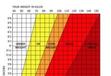 5 Best BMI Calculators You Will Want To Use