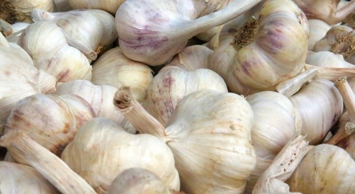 garlic bulbs