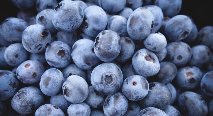superfood blueberries