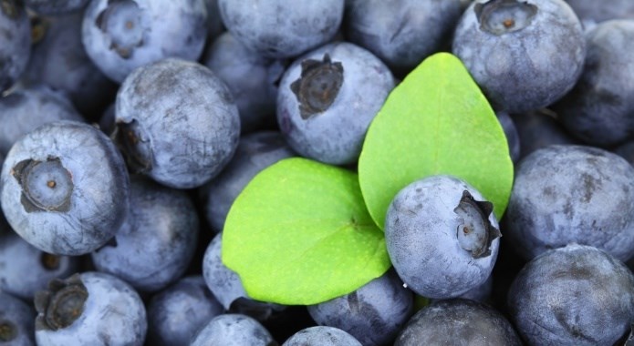 tasty blueberries