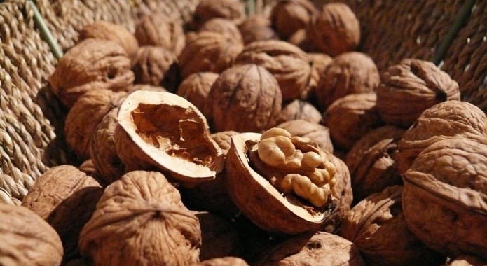 walnuts on table