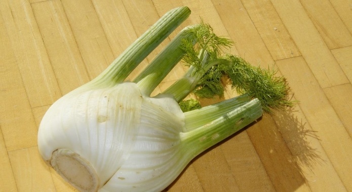 fennel