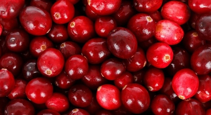 fresh red cranberries