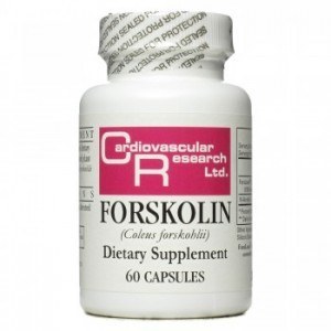 Forskolin by Cardiovascular Research