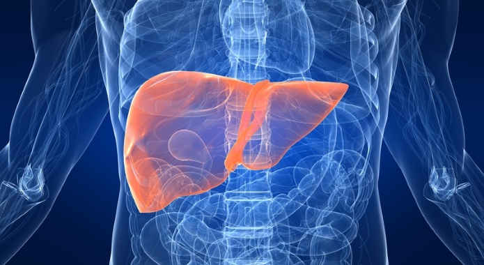 liver with gallbladder