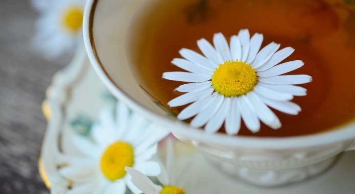 chamomile tea with flower