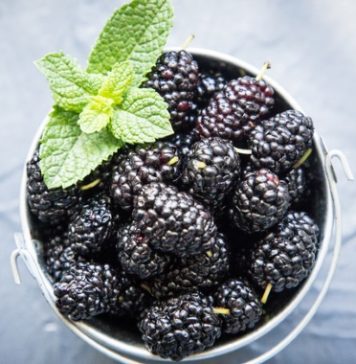 black mulberries desktop