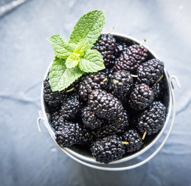 black mulberries mobile
