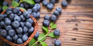 blueberries desktop
