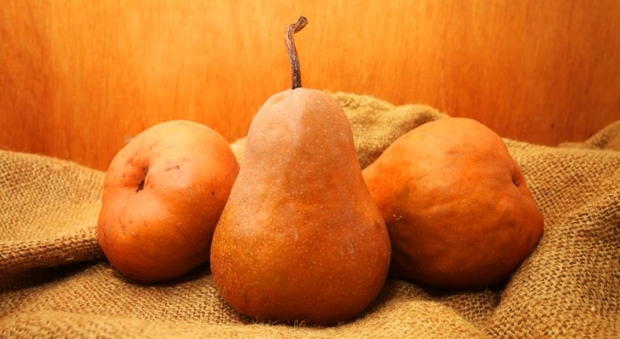 brown-pears-min