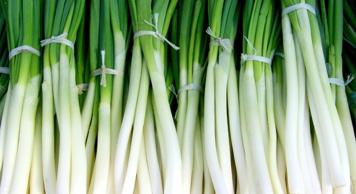 green onion-min