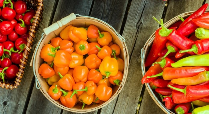 hot orange peppers-min