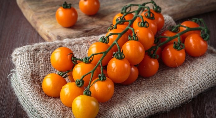 orange tomatoes-min