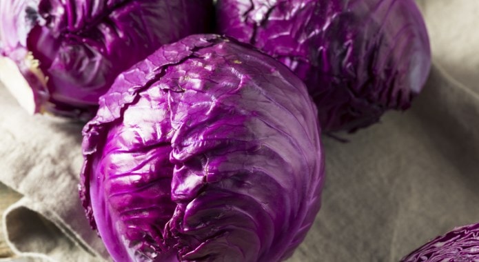 purple cabbage-min