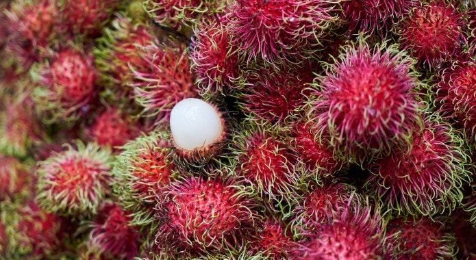 rambutan-min