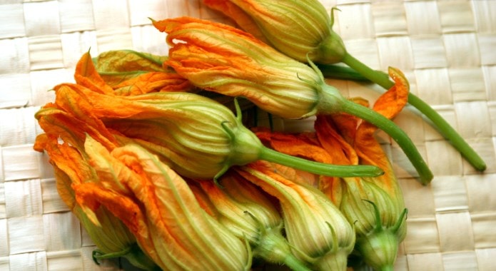 squash blossoms-min