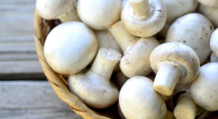 white button mushrooms-min