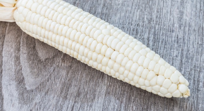 white corn-min