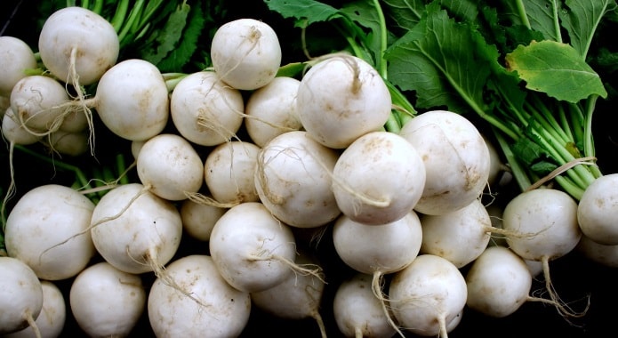 white turnips-min