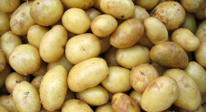 yellow potatoes-min