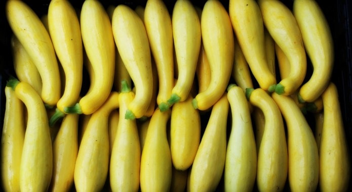 yellow summer squash-min