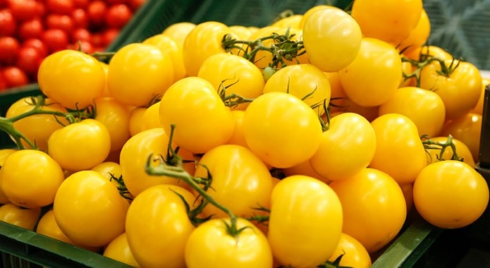 yellow tomatoes-min